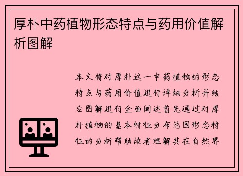 厚朴中药植物形态特点与药用价值解析图解